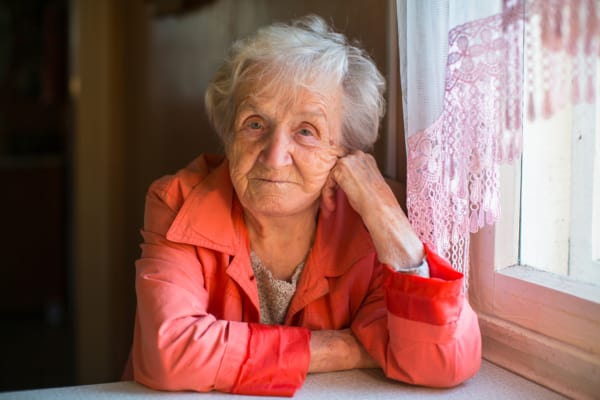 government shutdown puts seniors' (SNAP) nutrition assistance at risk