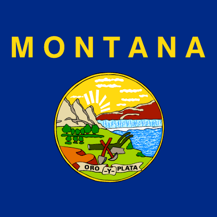 Montana State Flag